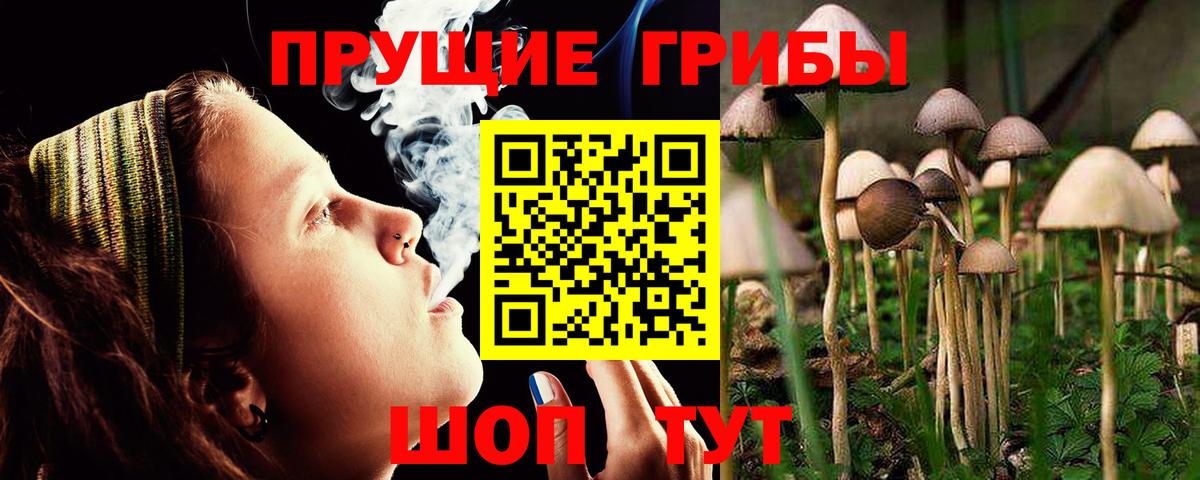 Псилоцибиновые грибы прущие грибы  Вход с VPN  Псилоцибиновые грибы мухоморы  Сибай 