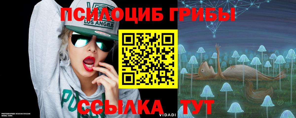 Галлюциногенные грибы Psilocybe Сибай